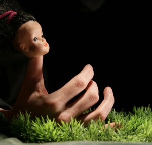 Kiwi gazon Photo Patrick Simard