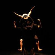 Tortue Noire DAIDALOS